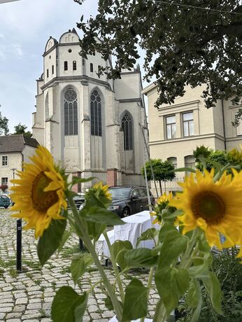 Soroptimist Halle (Saale),Benefiz-Café am Dom